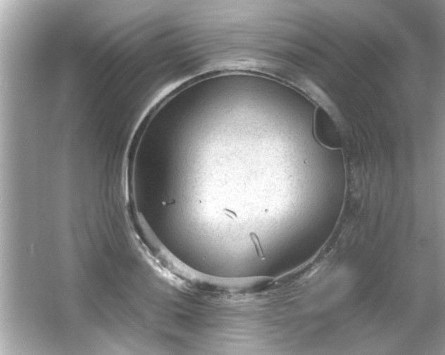 X0000066941036200603271132