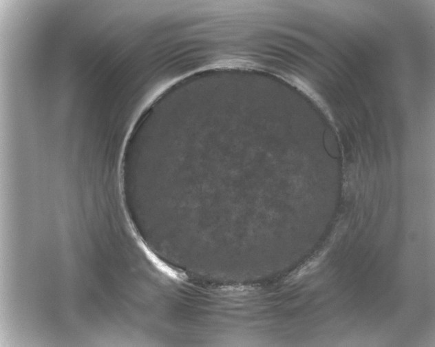 X0000066941037200603271132