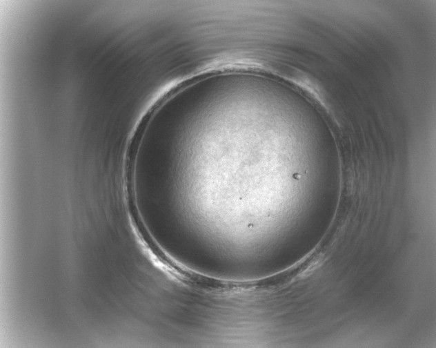 X0000066941038200603271132