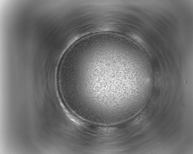 X0000066941039200603271132