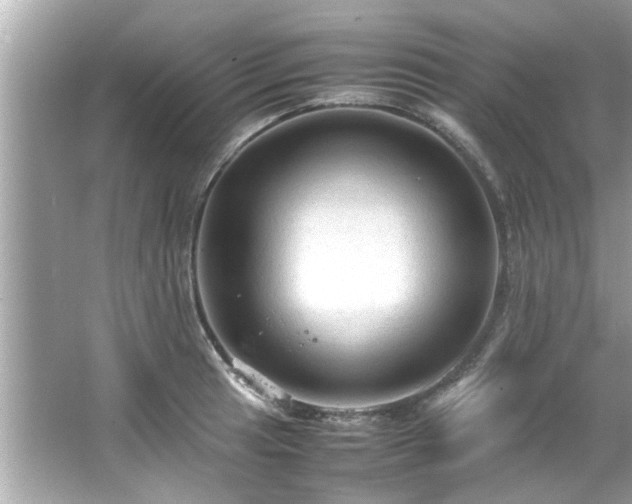 X0000066941041200603271132