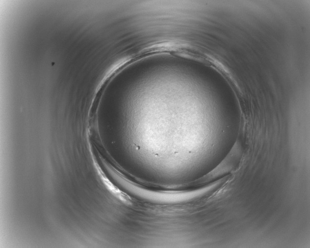 X0000066941042200603271132