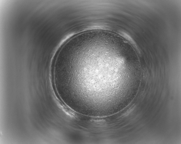 X0000066941043200603271132