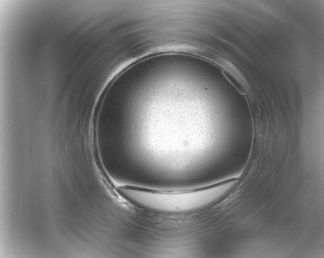 X0000066941044200603271132