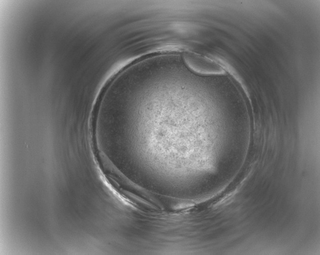 X0000066941045200603271132