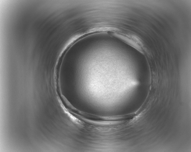 X0000066941046200603271132