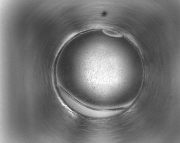 X0000066941048200603271132