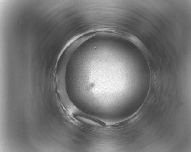 X0000066941052200603271132