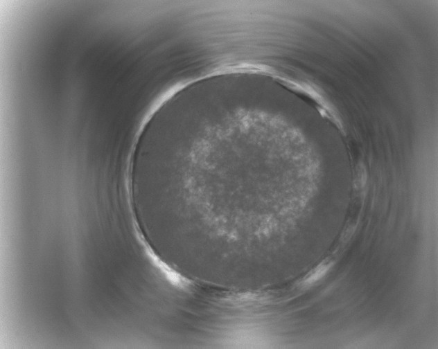 X0000066941054200603271132