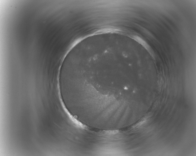 X0000066941055200603271132