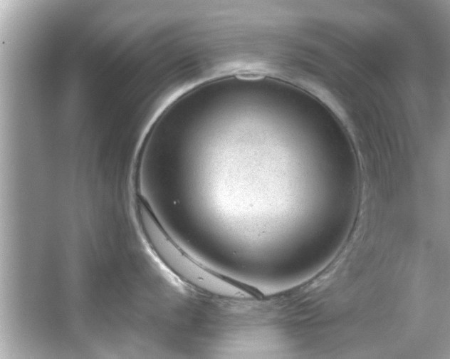 X0000066941056200603271132