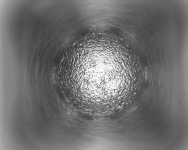 X0000066941059200603271131