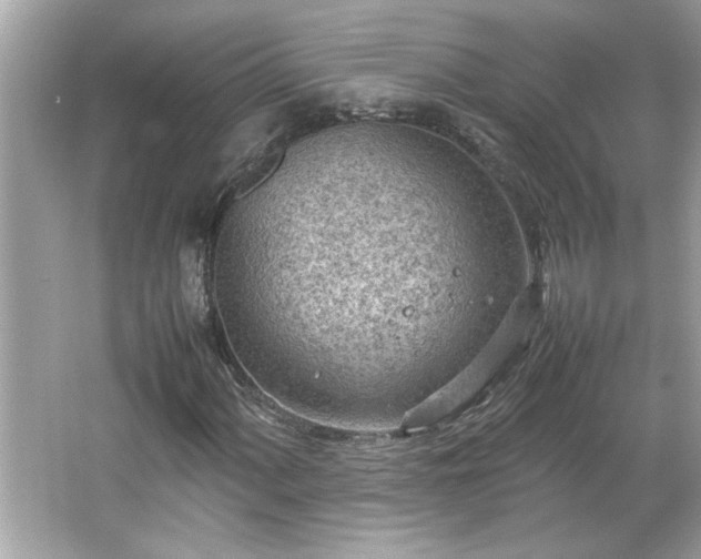 X0000066941060200603271131