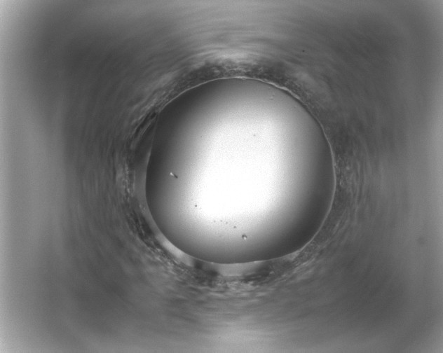 X0000066941061200603271131