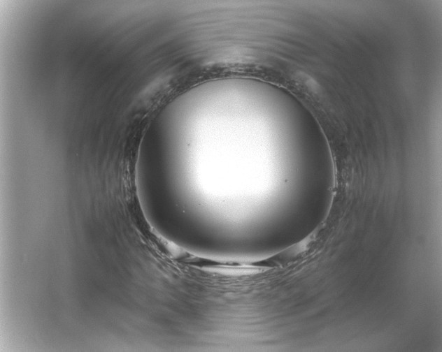 X0000066941062200603271131