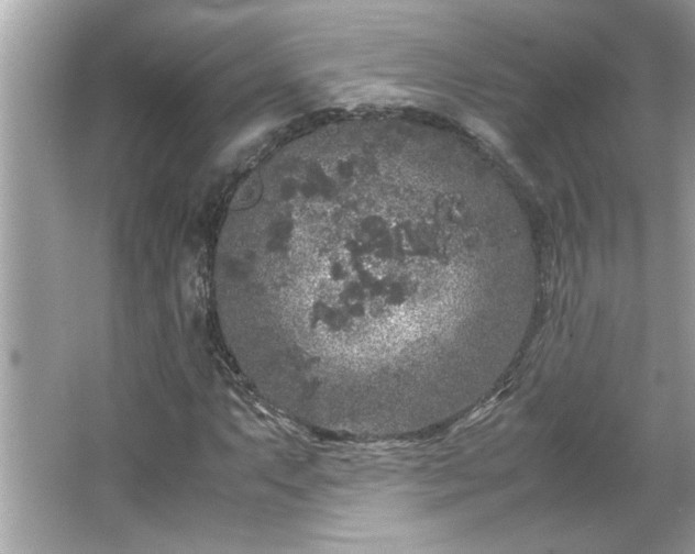 X0000066941063200603271131