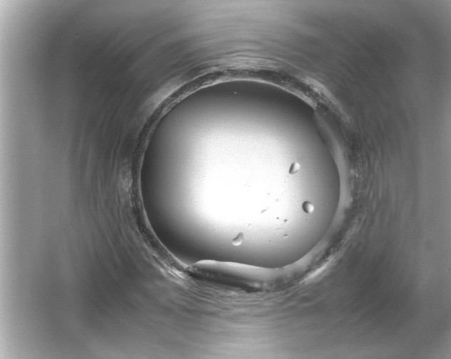 X0000066941065200603271131