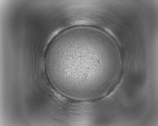 X0000066941067200603271131