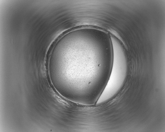 X0000066941068200603271131