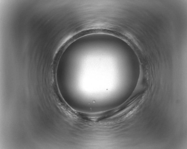 X0000066941069200603271131