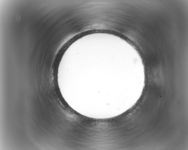 X0000066941070200603271131