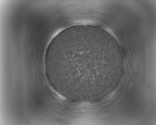 X0000066941071200603271131