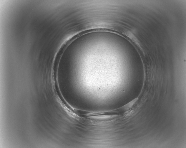 X0000066941072200603271131