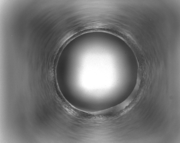 X0000066941073200603271131