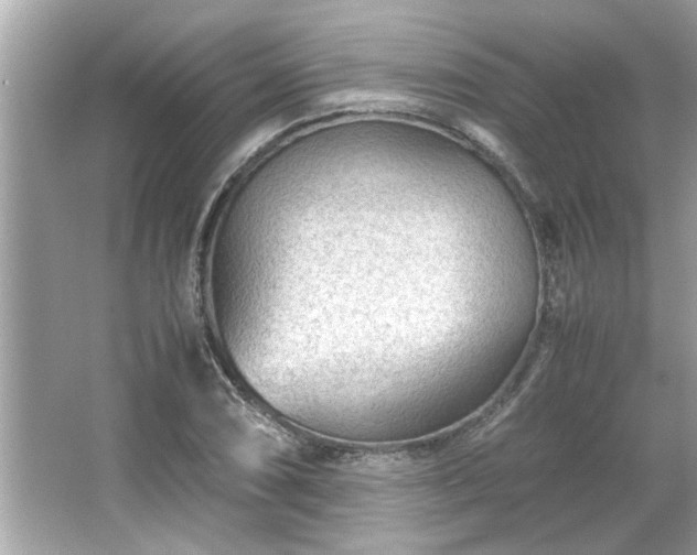 X0000066941074200603271131