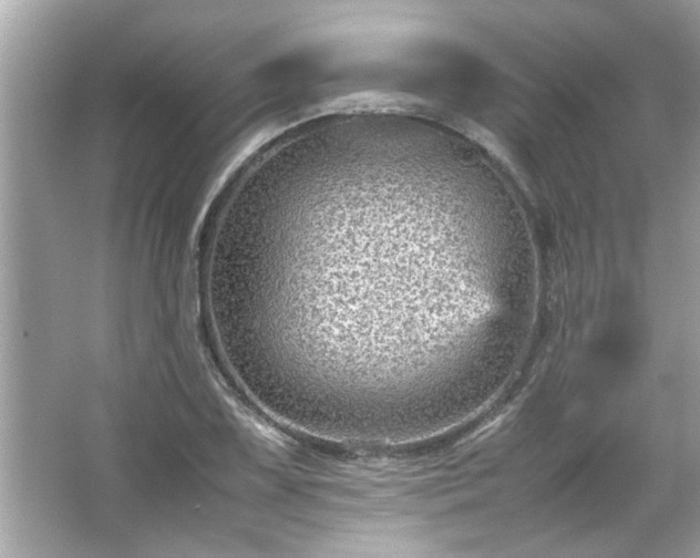 X0000066941075200603271131