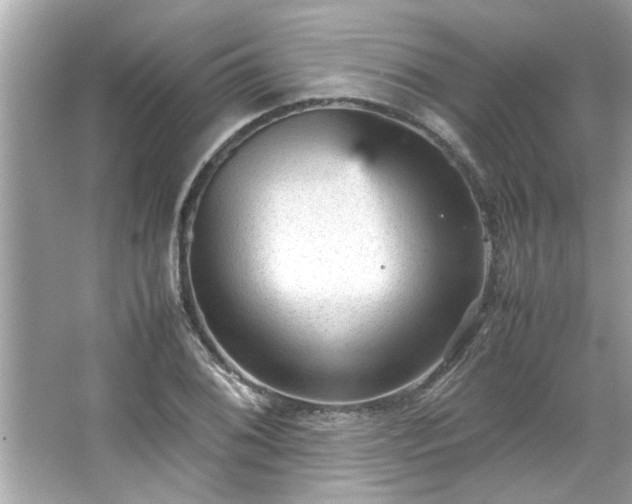 X0000066941076200603271131