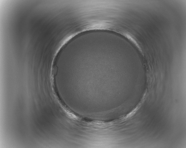 X0000066941077200603271131