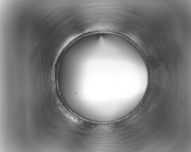 X0000066941078200603271131