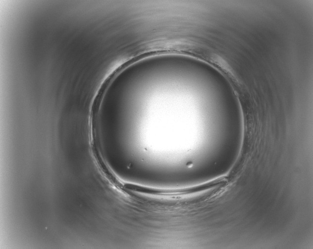 X0000066941079200603271131