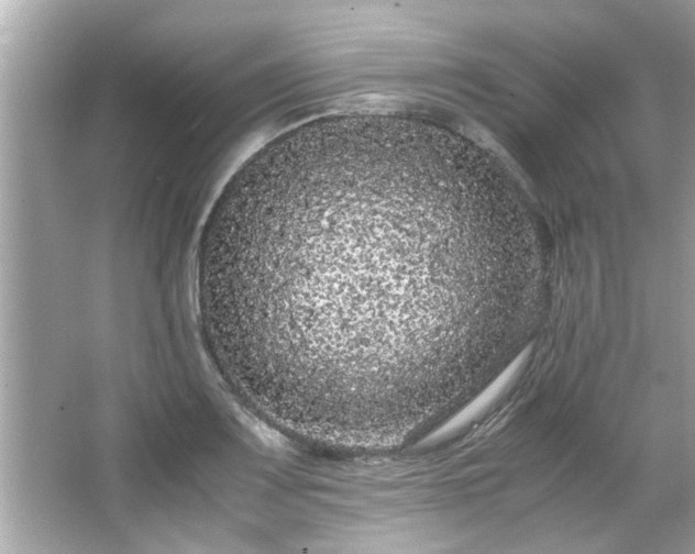 X0000066941083200603271131