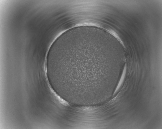 X0000066941084200603271131