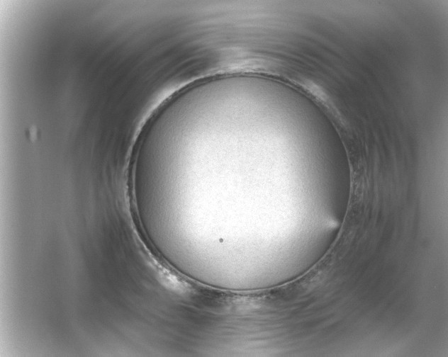 X0000066941086200603271131