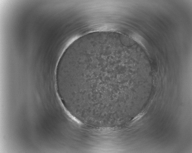 X0000066941087200603271131