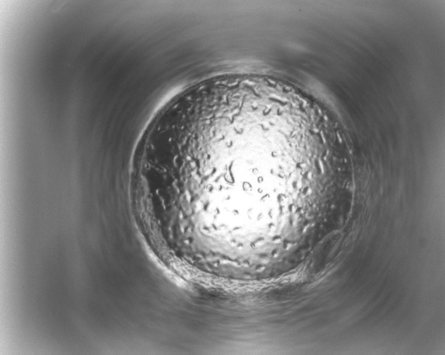 X0000066941095200603271130