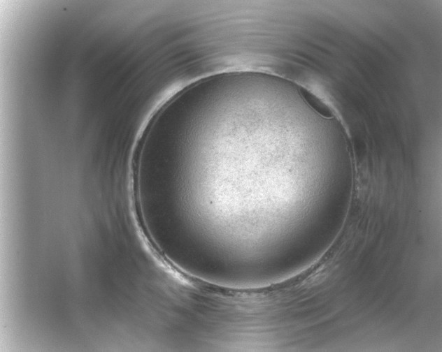 X0000066941096200603271130