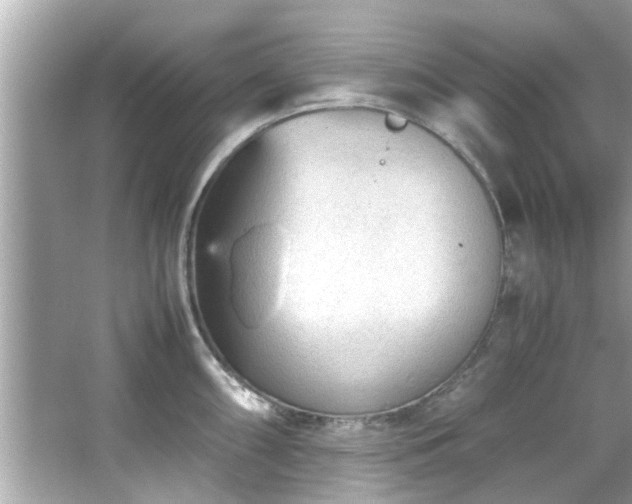 X0000066941098200603271130