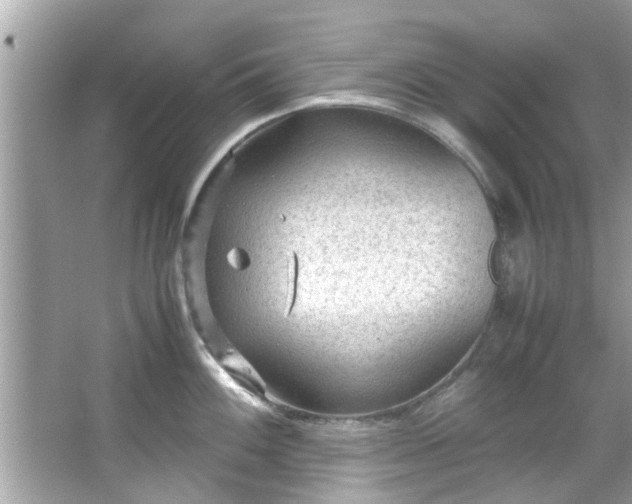 X0000066941100200603271130