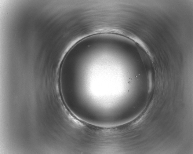 X0000066941102200603271130