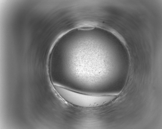 X0000066941104200603271130