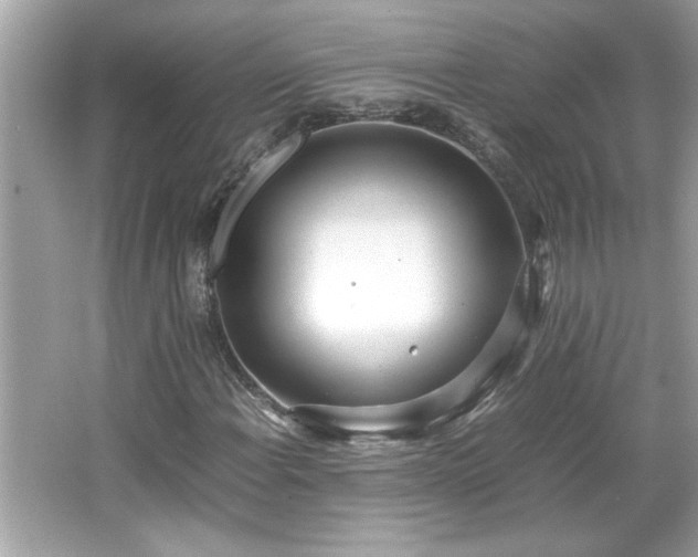 X0000066941108200603271130