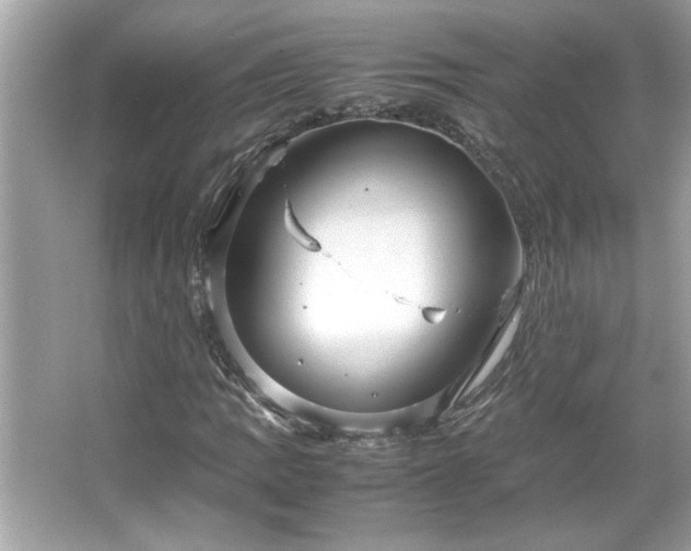 X0000066941109200603271130