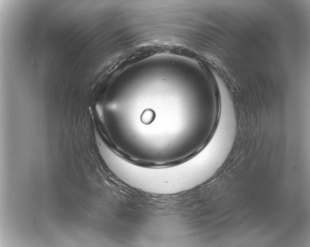 X0000066941110200603271130