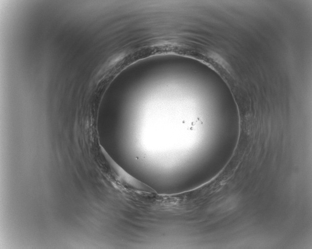 X0000066941111200603271130