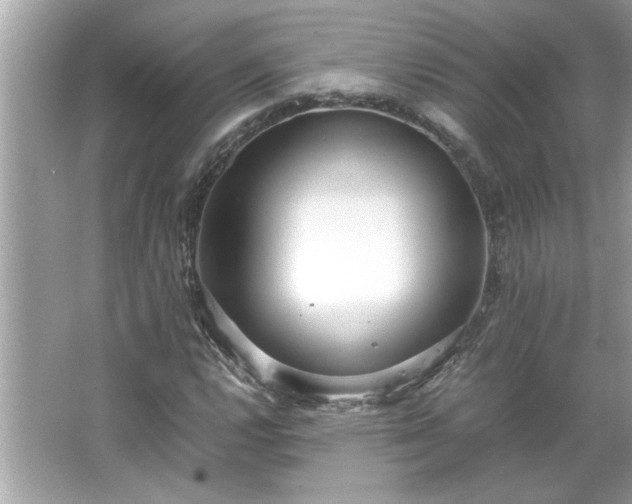 X0000066941112200603271130