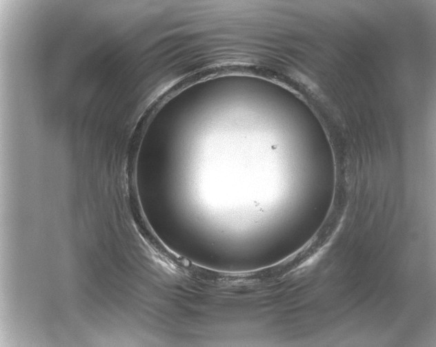 X0000066941113200603271130